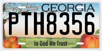 GA license plate PTH8356
