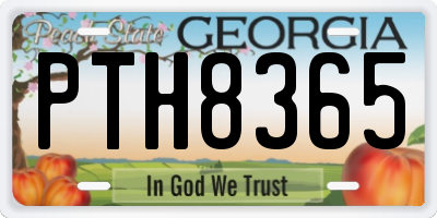 GA license plate PTH8365