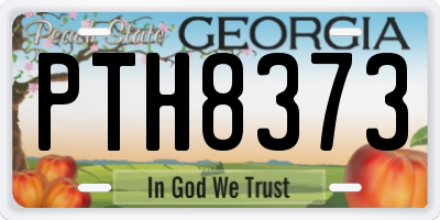 GA license plate PTH8373