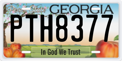 GA license plate PTH8377