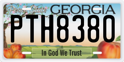 GA license plate PTH8380
