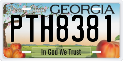 GA license plate PTH8381