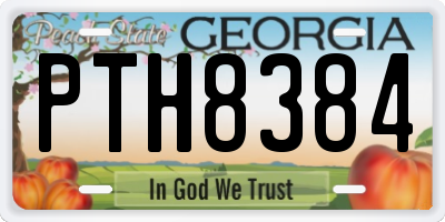 GA license plate PTH8384