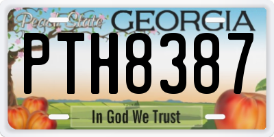 GA license plate PTH8387