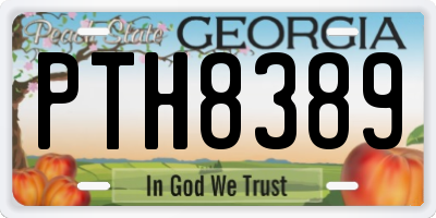GA license plate PTH8389