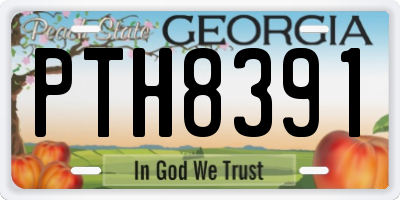 GA license plate PTH8391