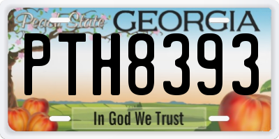 GA license plate PTH8393