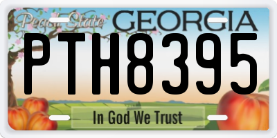 GA license plate PTH8395