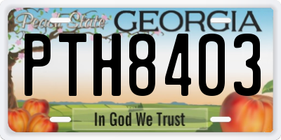 GA license plate PTH8403