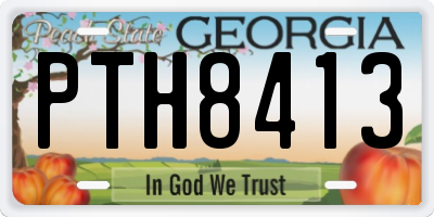GA license plate PTH8413
