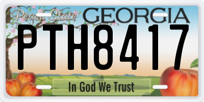 GA license plate PTH8417
