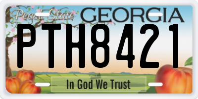 GA license plate PTH8421