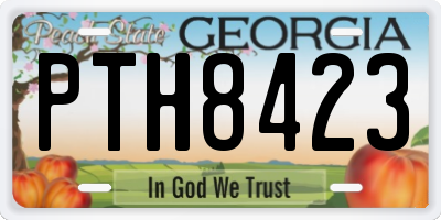 GA license plate PTH8423
