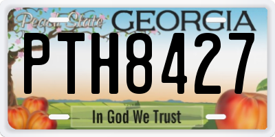 GA license plate PTH8427