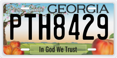 GA license plate PTH8429