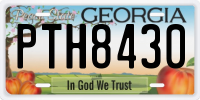 GA license plate PTH8430