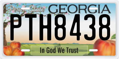 GA license plate PTH8438