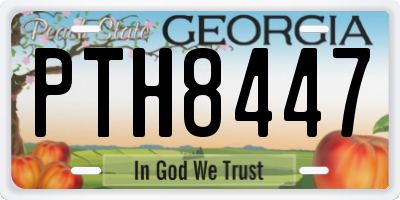 GA license plate PTH8447