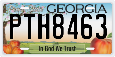 GA license plate PTH8463