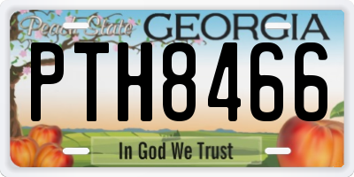 GA license plate PTH8466