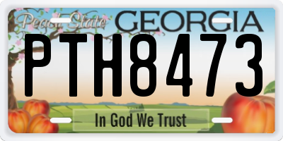 GA license plate PTH8473