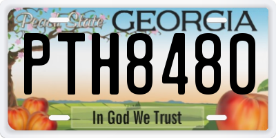 GA license plate PTH8480