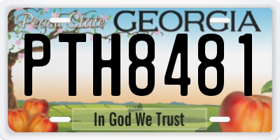 GA license plate PTH8481