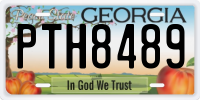 GA license plate PTH8489