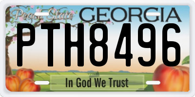 GA license plate PTH8496