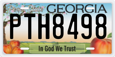GA license plate PTH8498