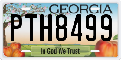 GA license plate PTH8499