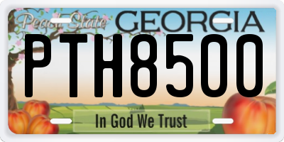GA license plate PTH8500
