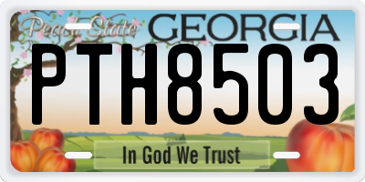 GA license plate PTH8503