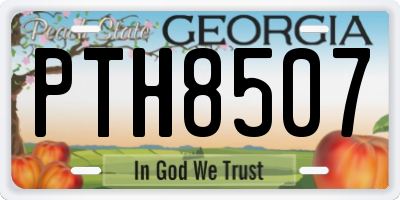 GA license plate PTH8507
