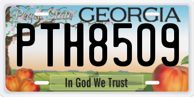 GA license plate PTH8509