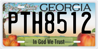 GA license plate PTH8512