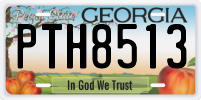 GA license plate PTH8513