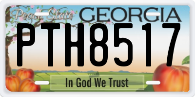 GA license plate PTH8517