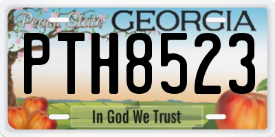 GA license plate PTH8523