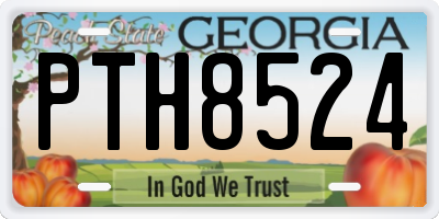 GA license plate PTH8524