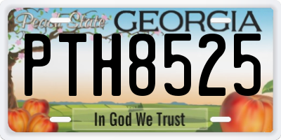 GA license plate PTH8525