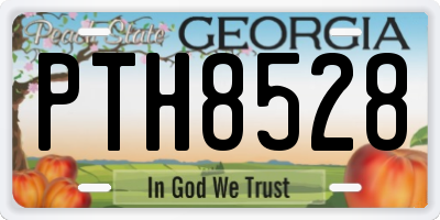 GA license plate PTH8528