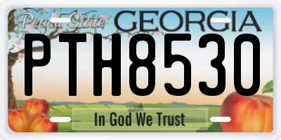 GA license plate PTH8530