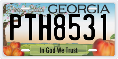 GA license plate PTH8531