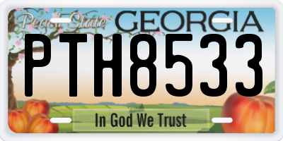 GA license plate PTH8533