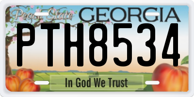 GA license plate PTH8534