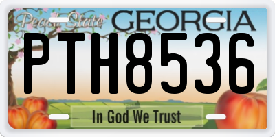 GA license plate PTH8536