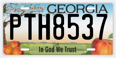 GA license plate PTH8537