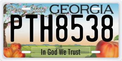 GA license plate PTH8538