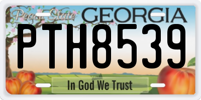 GA license plate PTH8539